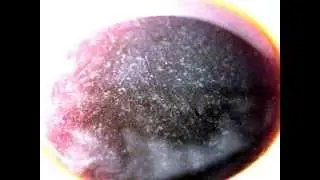 Swirls in my coffee