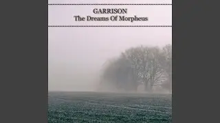 The Dreams of Morpheus