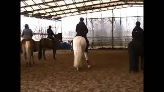 Rinderkurs März 15