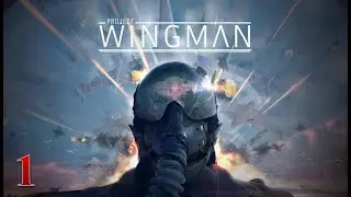 Project Wingman | Прохождение # 1