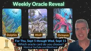 Weekly Oracle Reveal 🔮✨ | Tarot Reading for September 5 to September 11 | Elliot Oracle 🐬 🐺 🐙