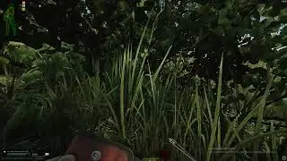 типичный tarkov