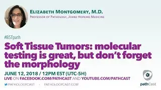Soft tissue pathology - Dr. Montgomery (Hopkins) 