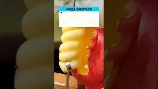 Жена привела мужа к ceксопатологу 