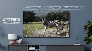Alpha One | Product Ad | 2023