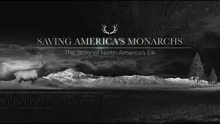 Saving America's Monarchs