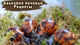 МИНЕРАЛЬНЫЕ КАМНИ | СКОРЛУПА ЯИЦ ДЛЯ УЛИТОК