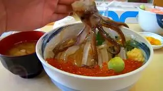 5 ЖИВОТНЫХ  КОТОРЫЕ ЖИВУТ ПОСЛЕ СМЕРТИ
