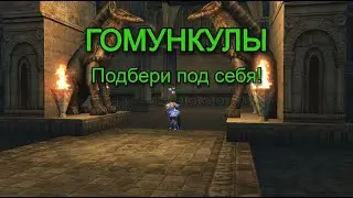 Гомункулы в Lineage 2 Main Orc Village | Руофф