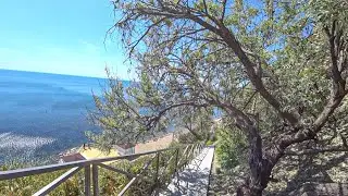 Ореховая роща. Видели дельфинов на пляже