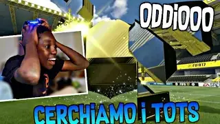 CERCHIAMO I TOTSS!!