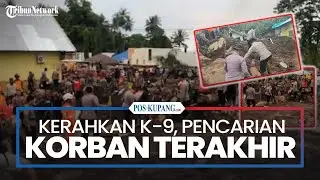 Cari Korban Terakhir, Polda Maluku Utara Terjunkan K-9 di Lokasi Banjir Bandang Ternate