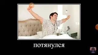 1 подписчик