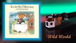 Cat Stevens - Wild World (Vinyl RIP)