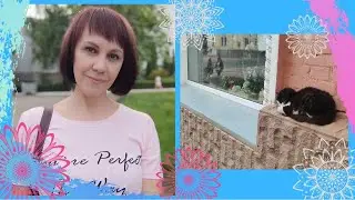 Розрыв мениска | Почему я сделала операцию | Мясо или Веганство