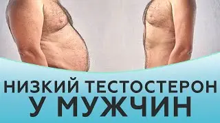 Низкий тестостерон у мужчин. Что делать