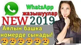 АЯЛЫН БАШКА НОМЕРДЕ СЫНАДЫ 2019