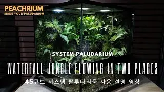 물길이 두개로 흐르는 폭포 팔루다리움 설명 영상입니다 진짜  자연같은 정글을  느껴보세요!