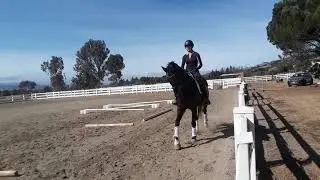London Canter