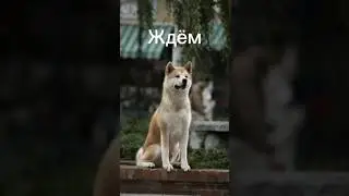 ждём... 