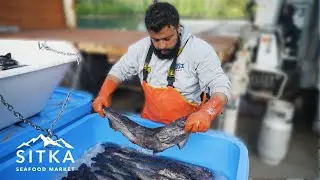 What is sablefish: An explainer