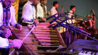 Marimba Mega Tropical. Lixa.