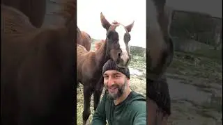 Смотрите что она творит. 240 