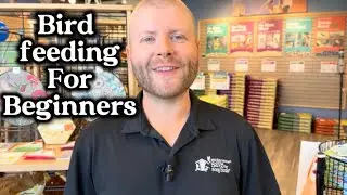Bird Feeding for Beginners: The Ultimate Guide