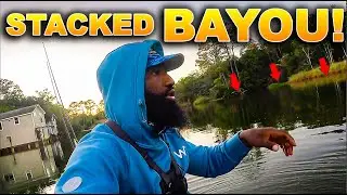 This BAYOU was LOADED With FISH! Kayak Adventure