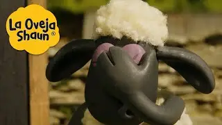 La Oveja Shaun 🐑 Palma de la cara 🐑 Dibujos animados para niños
