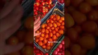 #урожай