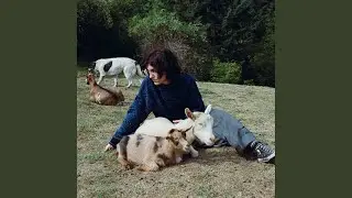 Funny
