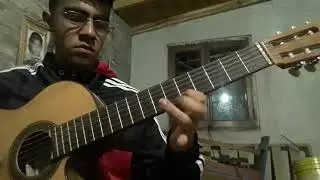 la ley y la trampa cover
