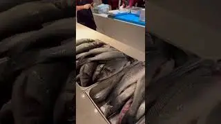 Fish factory ♥️💙🐟