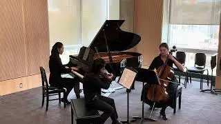 Felix Mendelssohn - Piano Trio No. 1 in D Minor, Op. 49 (I. Molto allegro ed agitato)