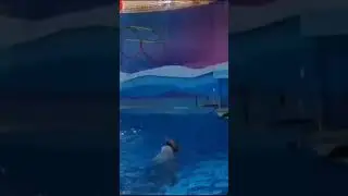 это дельфинарий в городе Сочи 👍🏿🤘🏿 это мой брат Лёва и. тётя Оля отдыхают на море 😀🏄🏽🌊🏊🏽‍♀️