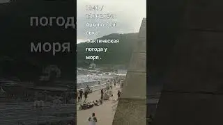 15 июня 2024 г.