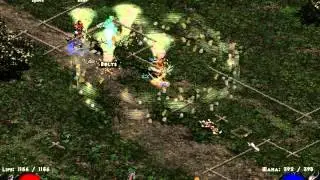 Diablo 2 lod challenge for the druid #15 (Beginning of Hell)