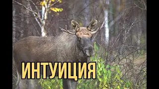 Интуиция