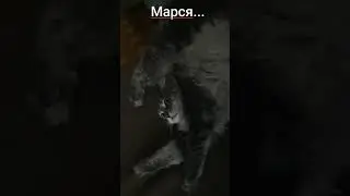Тебе так удобно лежать?Любимый котя..