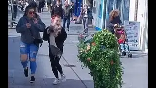 Bushman Prank. Laughter and screams in the sun.