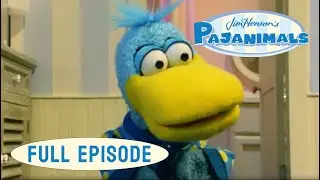 Pajanimals | Winning Isn't Everything / An Octopus Hug | Jim Henson Family Hub | Kids Cartoons