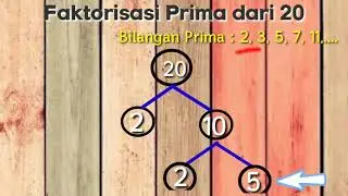 Faktorisasi Prima (Matematika kelas 4)