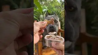 Comer, Brincar e Relaxar - Nossa Rotina 