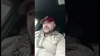 МОЖЕТ ЛИ НАВРЕДИТЬ СОБАКЕ СТРОГИЙ ОШЕЙНИК? / Совет кинолога / Собачий колдун?