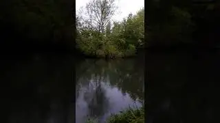 @LondonRealTV CASIOBURY PARK,WATFORD