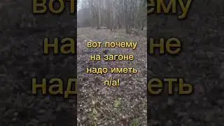 повезло охотнику!😳🙈 