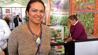 Día Internacional de la Mujer