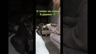 Переехали из города в деревню ☺️ 
