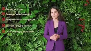 Вертикальное озеленение живыми растениями